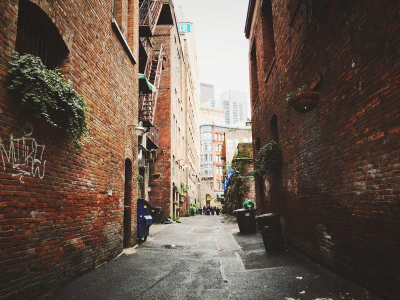 矩阵大脑<br>自媒体多账号协同中枢